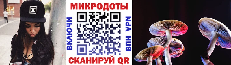 где купить наркоту  Кингисепп  Галлюциногенные грибы GOLDEN TEACHER 