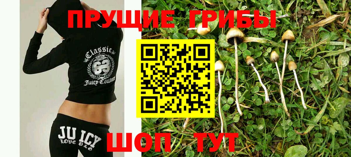 Кингисепп  Псилоцибиновые грибы GOLDEN TEACHER  Галлюциногенные грибы Psilocybine cubensis  Вход с VPN 