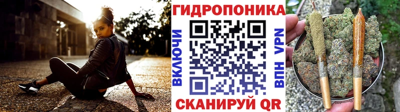 Конопля гибрид Кингисепп